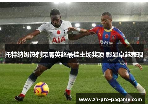 托特纳姆热刺荣膺英超最佳主场奖项 彰显卓越表现